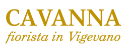 Fiorista Vigevano